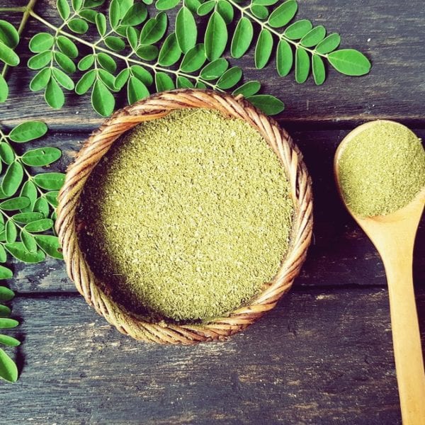 Was ist Moringa - Moringa-Pulver - Entdeckermagazin - Miomente