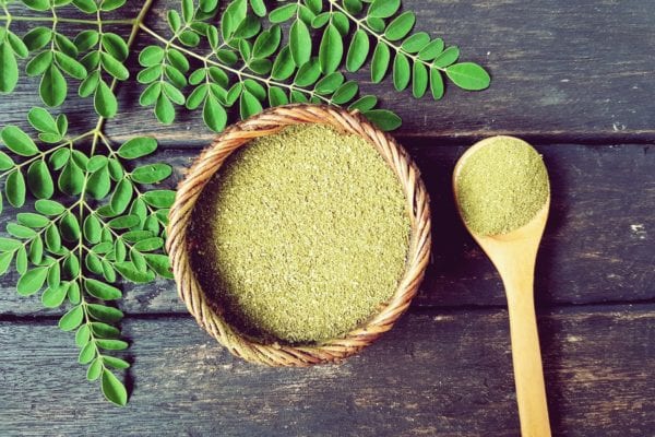 Was ist Moringa - Neues Superfood - Entdeckermagazin - Miomente