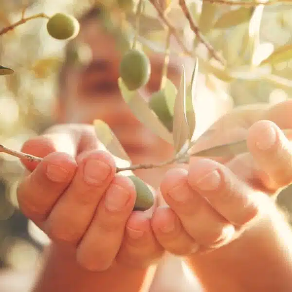 Tipps für den Kauf von Olivenöl