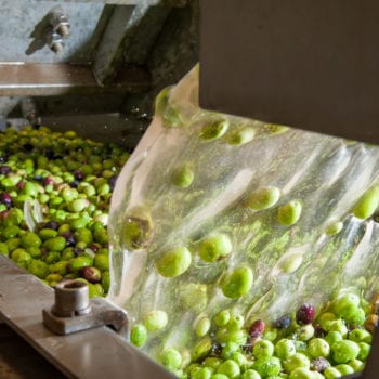 Herstellung von Olivenöl - Waschen