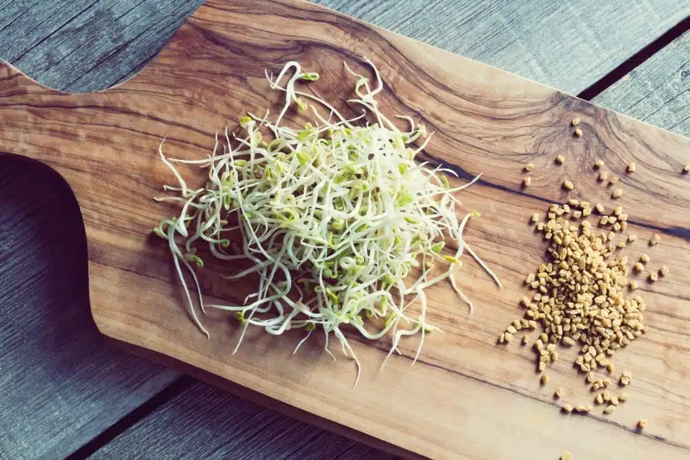 Gewürze - Bockshornkleesprossen und Samen auf einem Holzbrett | Entdeckermagazin Miomente