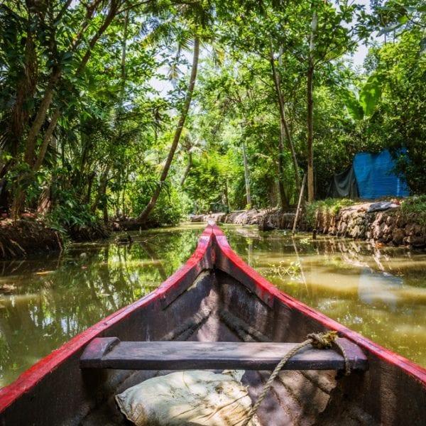 Tropenfeeling mit Kokosnussbier | Entdeckermagazin Miomente