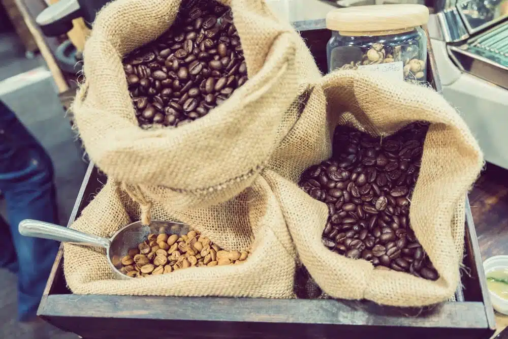 Die beliebtesten Kaffeesorten | Liberica | Entdeckermagazin Miomente