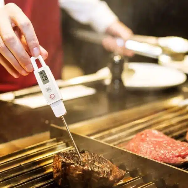 Gut gereiftes Rindfleisch richtig garen | Mit Temperaturmesser oder ohne | Entdeckermagazin Miomente