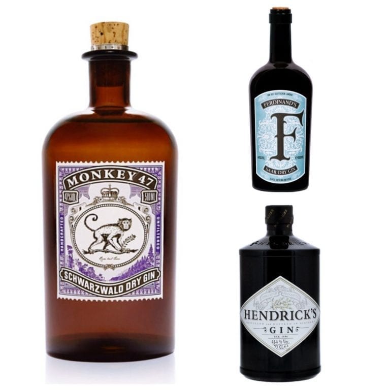 Welches Tonic Water passt zu welchem Gin? Miomente Entdeckermagazin