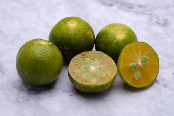 Die spannende Zauberfrucht Kalamansi | Entdeckermagazin Miomente