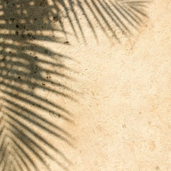 veganen Kokosjoghurt selber machen | Rezept | Entdeckermagazin Miomente