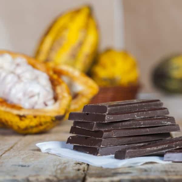 Frische Kakaofrucht mit Pulpe und Schokolade