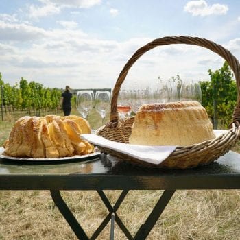 Weinbergwanderung im Wilhelmshof