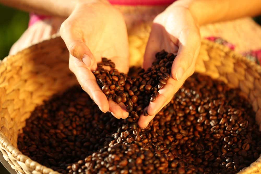 Schön geröstete Kaffeebohnen