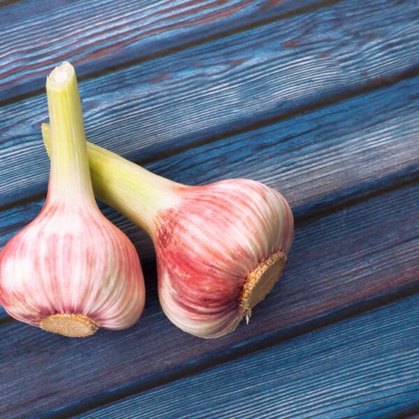 Frischer Knoblauch für Gremolata