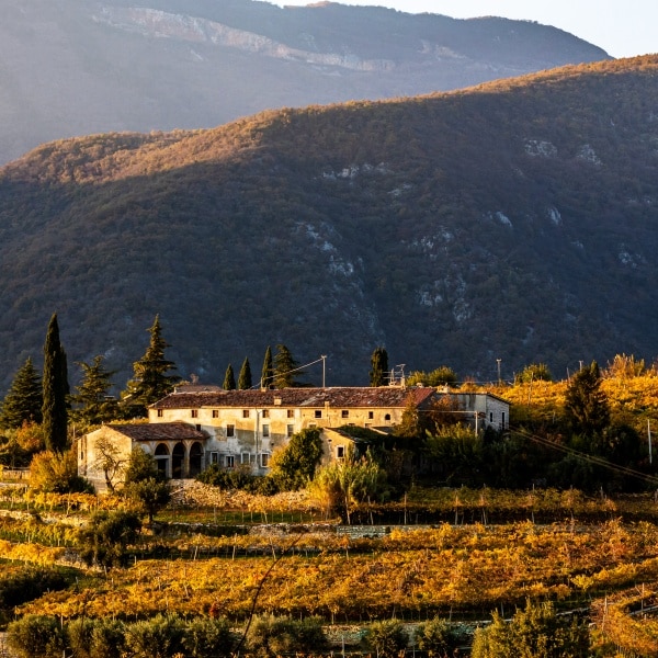 Weingut im Valpolicella