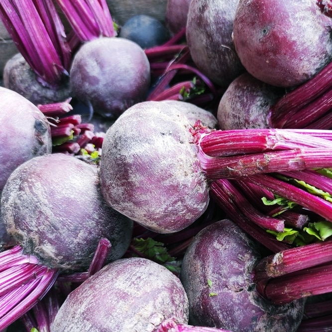 Rote Beete