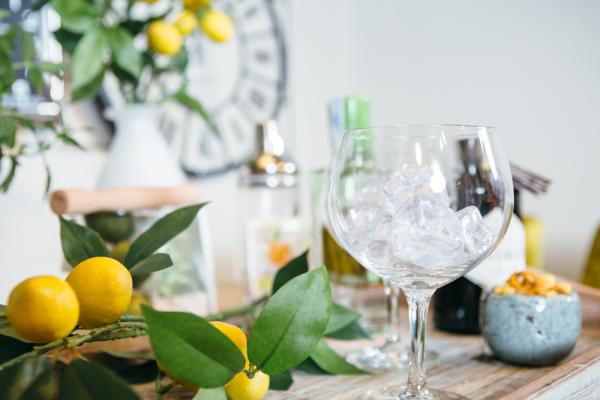 Gin und seine Botanicals - Augsburg