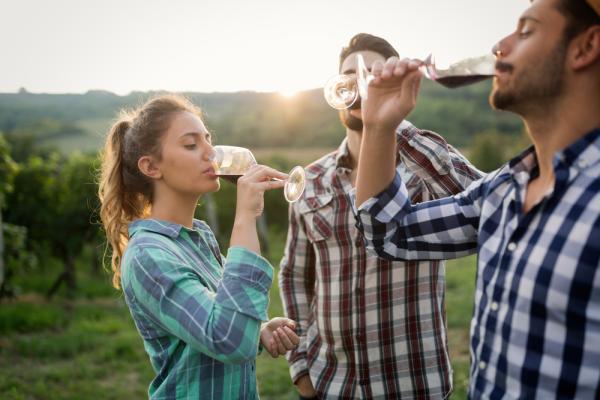 Ein Nachmittag im Weingut - Weinstadt-Strümpfelbach