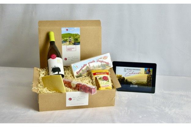 Virtuelle Reise ins Friaul Weinberge