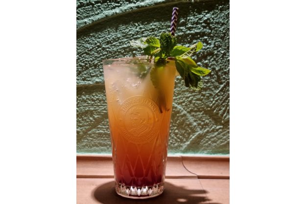 Cocktailkurs Köln – Drink mit Minze