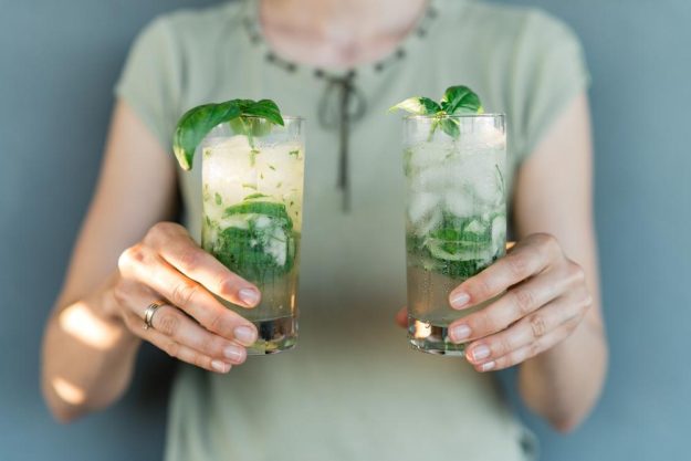 Gin Tasting Frankfurt – Gin mit Basilikum