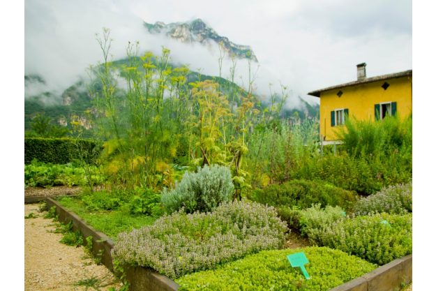virtuelle Reise Südtirol Krätuergarten