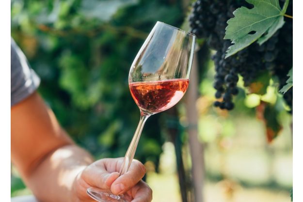 Weinseminar Köln: Winzer im Weinberg