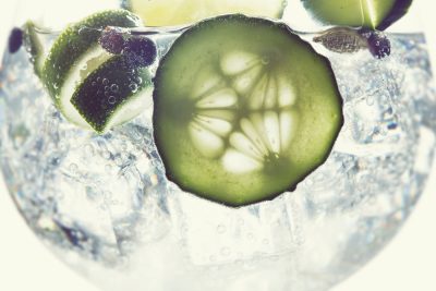 Gin-Tasting Köln Scottish Gin – Köln