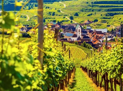 Weinprobe Berlin  Die Vielfalt deutscher Weine und europäischer Käsesorten