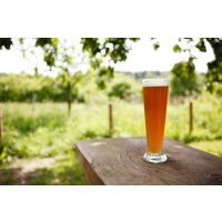 Ein Weißbier, bitte!