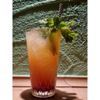 Cocktailkurs Köln – Drink mit Minze