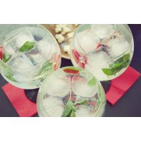 Gin-Tasting Köln – Gin mit Minze