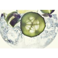 Gin-Tasting Köln – Schottischer Gin mit Gurkenscheiben und Wacholderbeeren