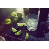 Gin-Tasting Köln – Gin mit Limettenspalten