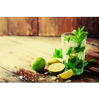 JGA mit Cocktailkurs - Mojito