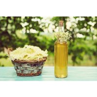 Kräuterwanderung München – Holunderblütensirup