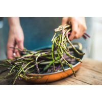 Saisonaler Kochkurs Köln – Spargel in der Pfanne