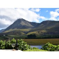 Weinseminar Köln: Weinland Südafrika