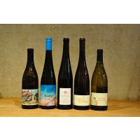 Weinseminar Köln alles über Naturweine