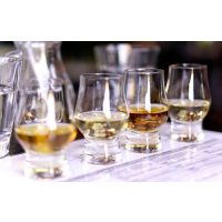 Whisky-Tasting Köln - unterschiedliche Scotch Whiskys