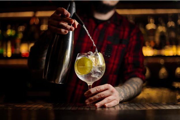 Gin-Tasting Frankfurt – Barmann