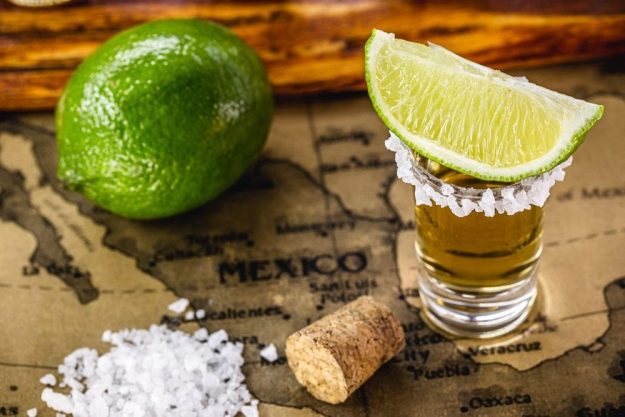 Tequila-Tasting Frankfurt: Tequila klassisch mit Salz und Limette