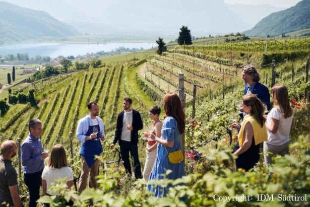 virtuelle Reise Südtirol im Weinberg