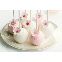 Backkurs Frankfurt – Hochzeits-Cake-Pops