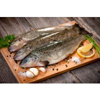 Fisch-Kochkurs Frankfurt - fangfrischer Fisch