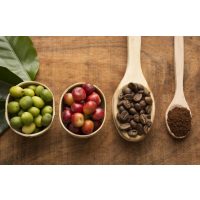 Kaffee-Seminar Frankfurt – von der Kaffeekirsche zum Kaffeemehl