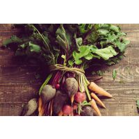 Vegetarischer Kochkurs Frankfurt – Bund mit frischem Gemüse