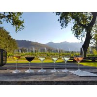 Weinprobe Frankfurt - Weine aus Südafrika