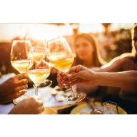 Weinprobe Frankfurt Wein genießen lernen