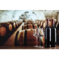 weinseminar-frankfurt-die besten Rotweine