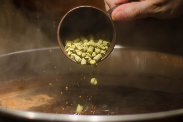 Braukurs Heidelberg – mit Bier anstoßen