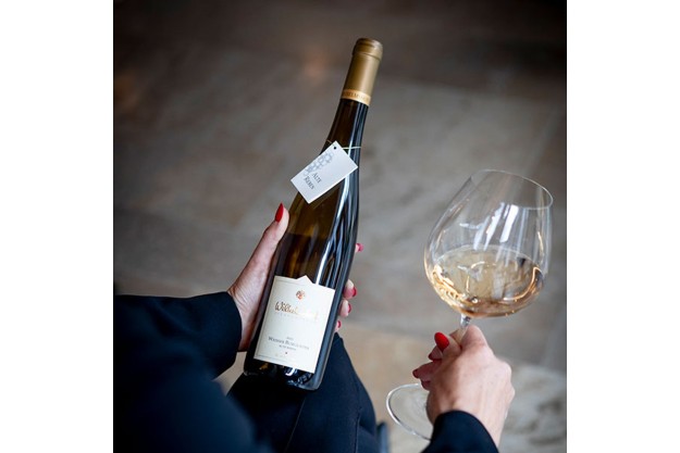 Riedel-Gläser-Seminar