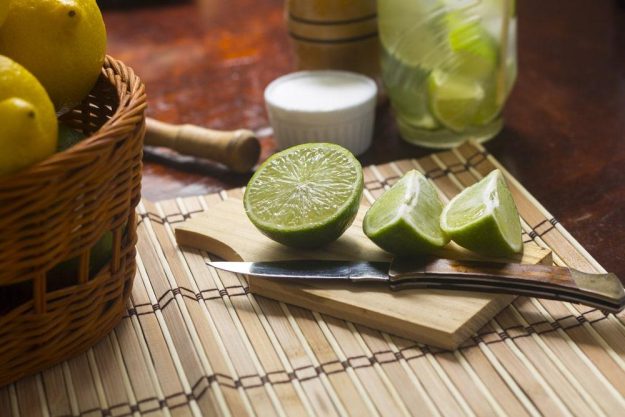 Cocktailkurs Berlin – wichtig: Limetten und Zitronen